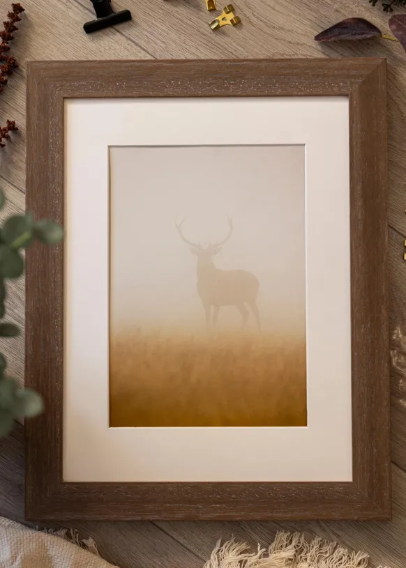 Ram Juno Grå 40x50 cm - Passepartout Vit 30x41 cm