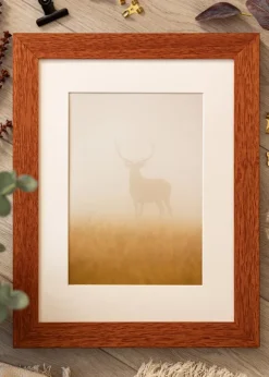 Ram Juno Körsbär 40x50 cm - Passepartout Vit 27,5x37 cm