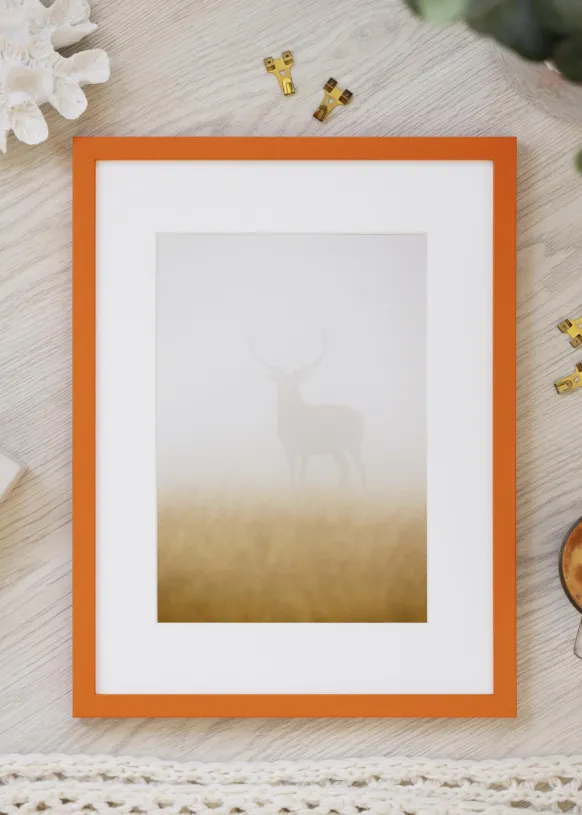 Ram Kent Orange 50x70 cm