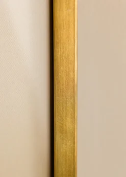 Ram Maat Canvasram Guld - Valfri Storlek (canvasramar)