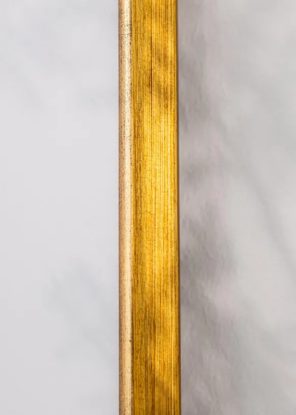 Ram Marisa Guld 40x50 cm