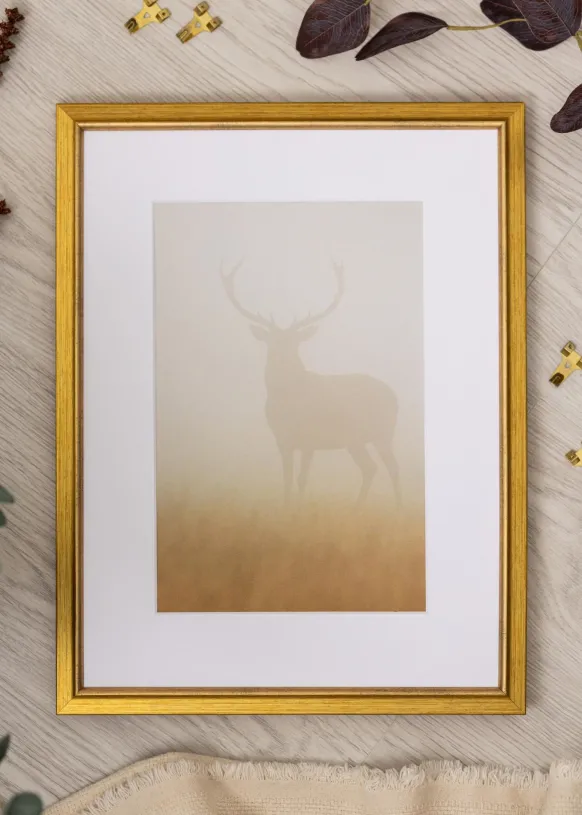 Ram Marisa Guld 40x50 cm