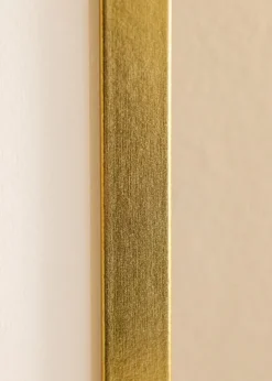 Ram Minerva Guld 40x50 cm - Passepartout Vit 27x35 cm