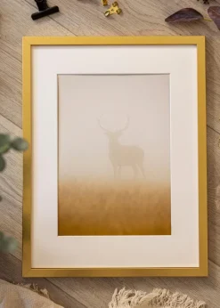 Ram Minerva Guld 40x50 cm - Passepartout Vit 31x41 cm