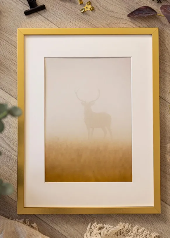 Ram Minerva Guld 50x70 cm - Passepartout Vit 40x61 cm