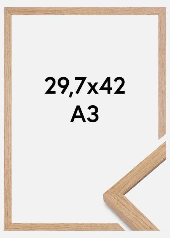 Ram Montgomery Matt Antireflexglas Ek 29,7x42 cm (A3)