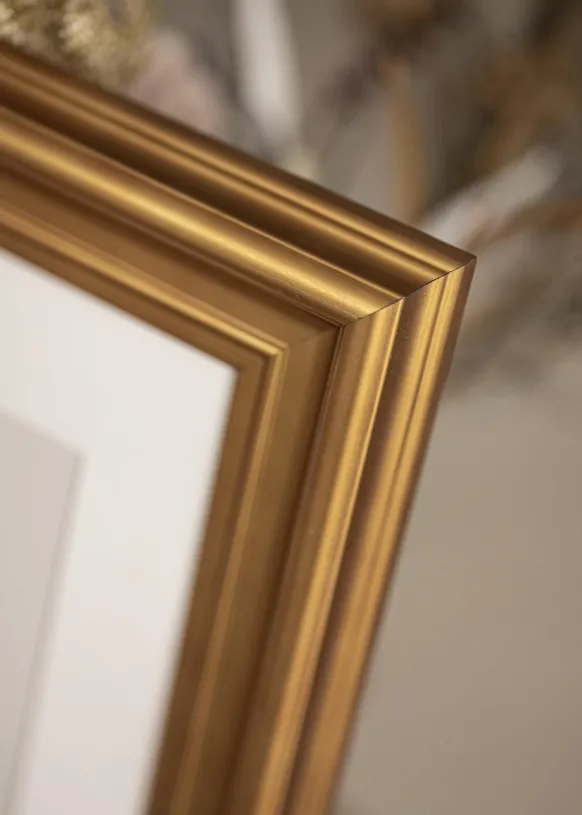Ram Mora Premium Glas Guld 40x50 cm