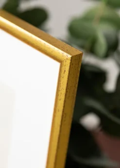 Ram Newline Glas Guld 13x18 cm