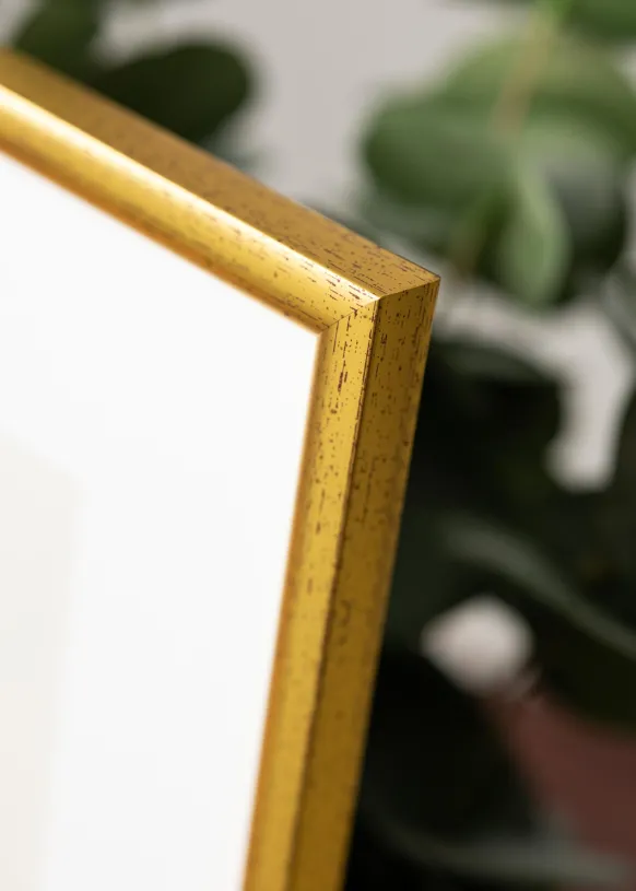 Ram Newline Glas Guld 13x18 cm