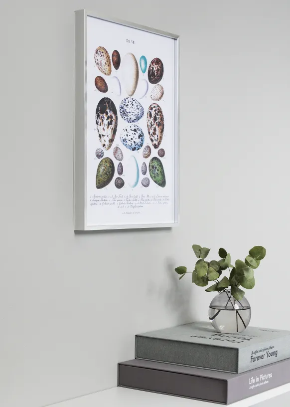 Ram Nielsen Premium Alpha Glas Blank Silver 30x30 cm