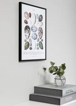 Ram Nielsen Premium Classic Glas Matt Svart 50x70 cm