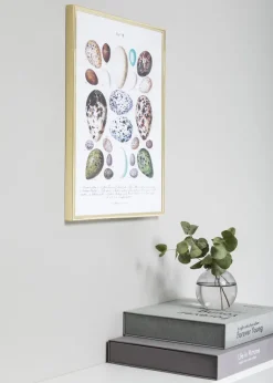 Ram Nielsen Premium Classic Glas Guld 30x40 cm
