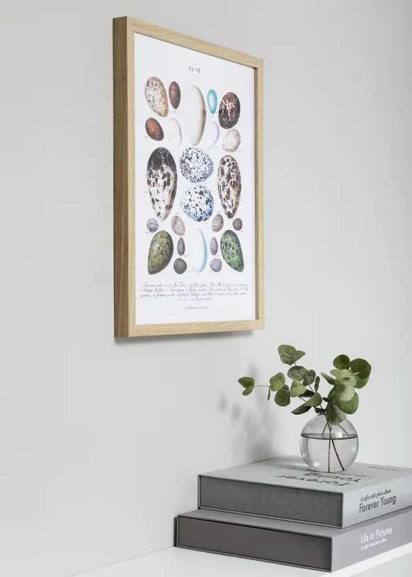 Ram Nielsen Premium Quadrum Glas Ek 42x59,4 cm (A2)