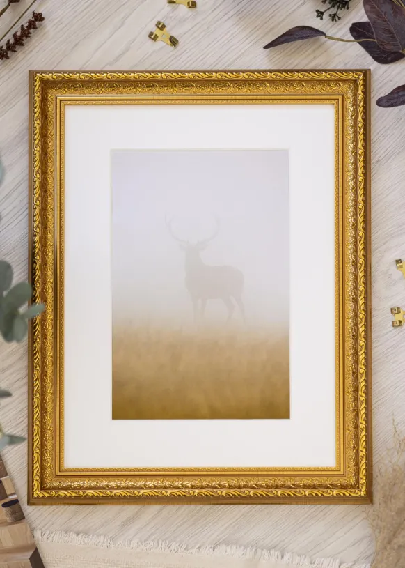 Ram Ornate Guld 40x50 cm - Passepartout Vit 29x39 cm