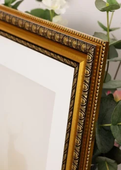 Ram Ornato Guld 30x45 cm