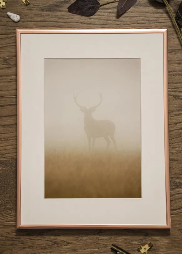 Ram Poster Frame Aluminum Glas Roséguld 13x18 cm