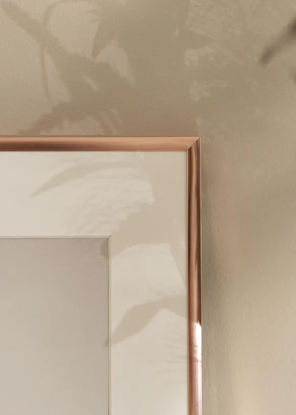 Ram Poster Frame Aluminum Glas Roséguld 40x50 cm
