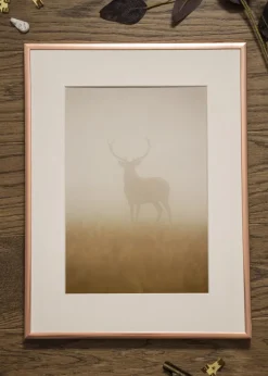 Ram Poster Frame Aluminum Glas Roséguld 40x50 cm