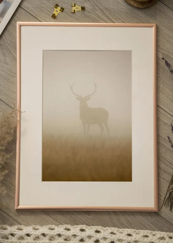 Ram Scandi Roséguld 50x70 cm - Passepartout Vit 42x59,4 cm (A2)