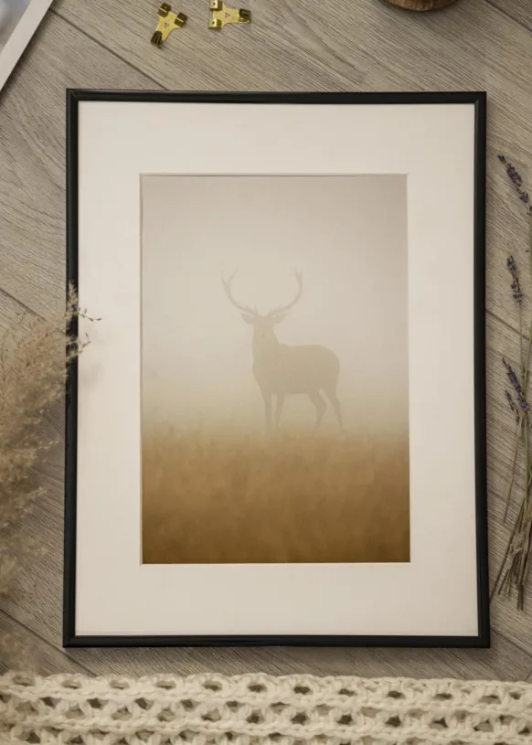 Ram Scandi Svart 20x30 cm - Passepartout Vit 15x22 cm