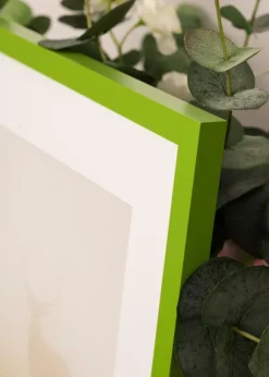 Ram Selection Lime Green 40x40 cm