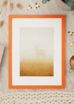 Ram Selection Orange 20x30 cm