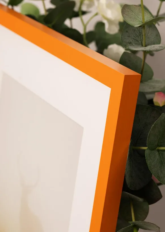 Ram Selection Orange 40x60 cm