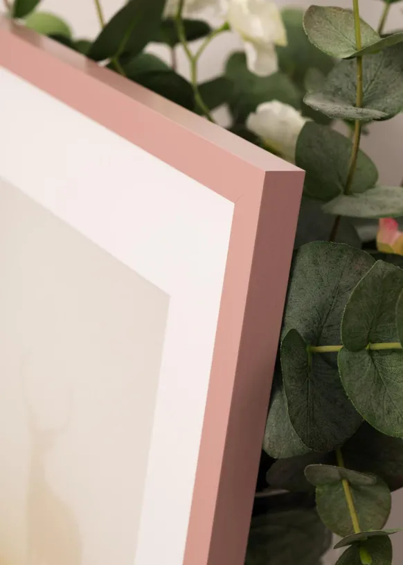 Ram Selection Peach 70x100 cm