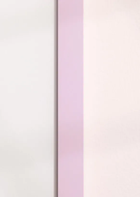 Ram Selection Pink 30x45 cm