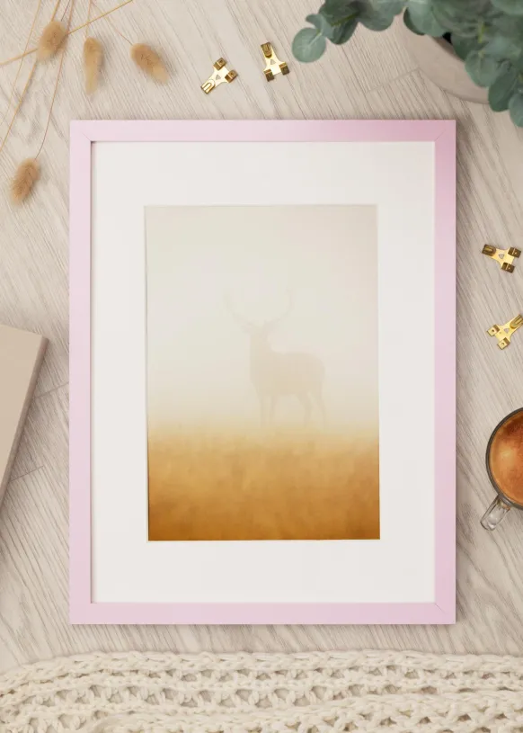 Ram Selection Pink 30x45 cm