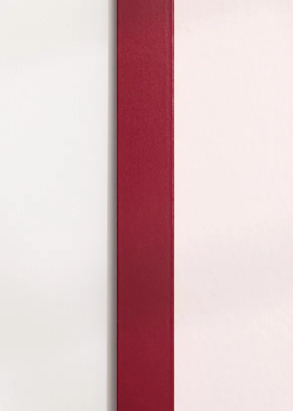Ram Selection Raspberry 60x80 cm