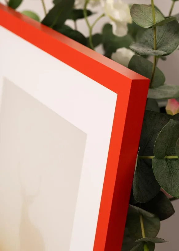 Ram Selection Red 40x50 cm