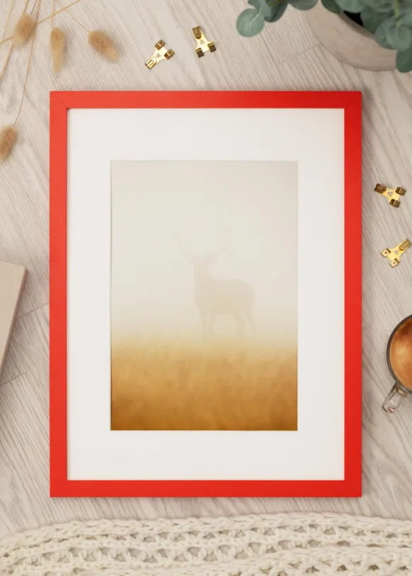 Ram Selection Red 40x50 cm