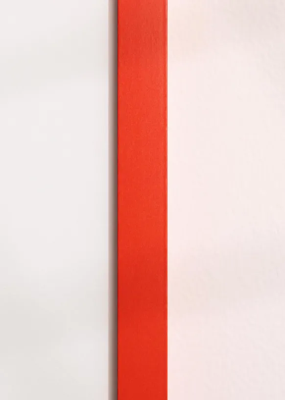 Ram Selection Red 29.7x42 cm (A3)