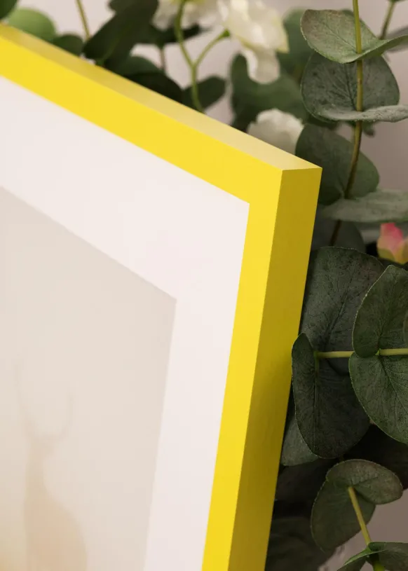 Ram Selection Yellow 40x50 cm
