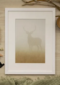 Ram Stilren Glas Vit 50x70 cm