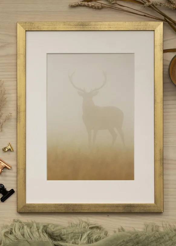 Ram Stilren Guld 30x30 cm