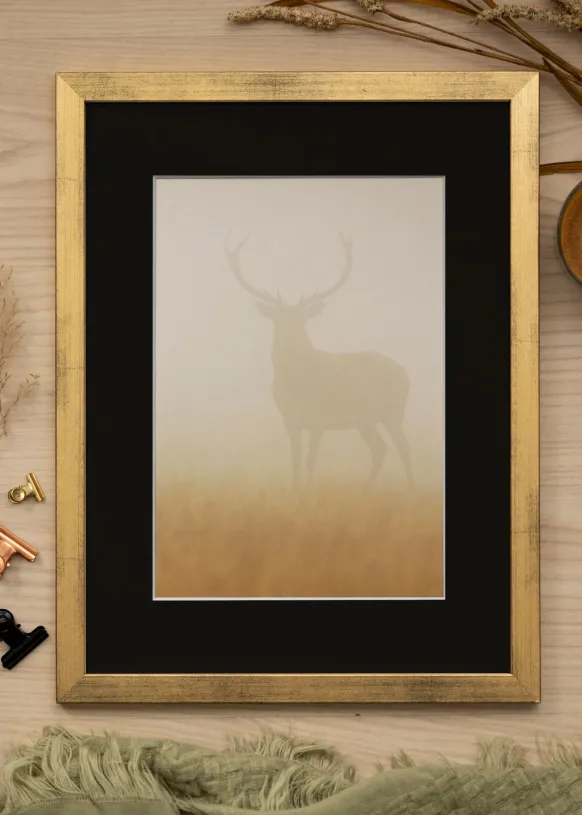 Ram Stilren Guld 50x70 cm - Passepartout Svart 40x60 cm