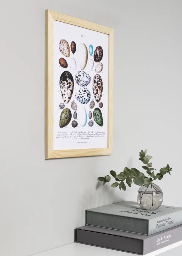 Ram Trendline Glas Nature 40x100 cm