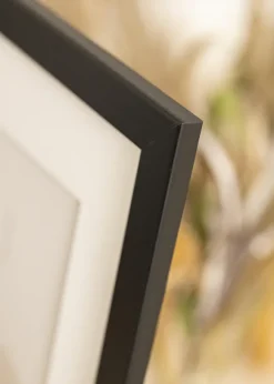 Ram Trendline Svart 55x70 cm - Passepartout Vit 43,2x61 cm (A2+)