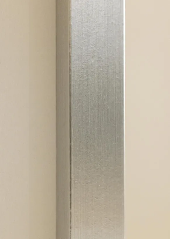 Ram Trendy Silver 70x90 cm - Passepartout Vit 24x30 inches
