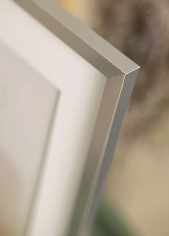Ram Trendy Silver 70x100 cm - Passepartout Vit 62x85 cm