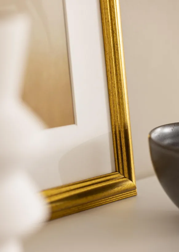 Ram Västkusten Guld 50x70 cm