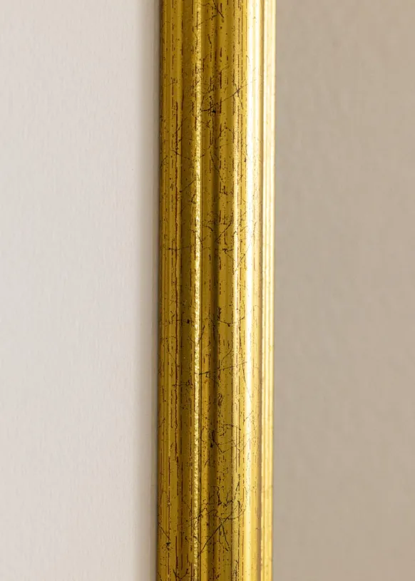 Ram Västkusten Guld 60x90 cm