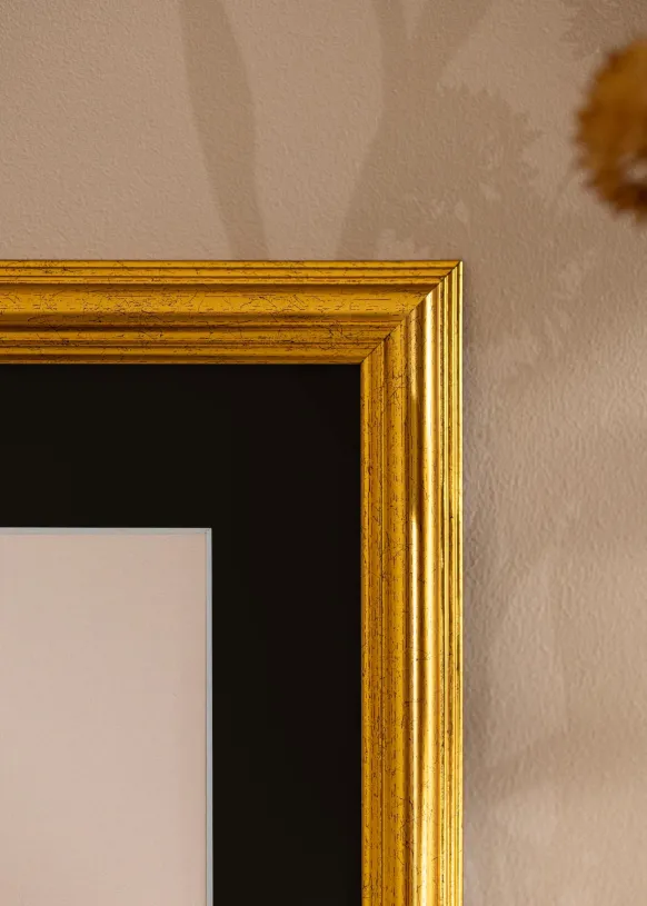 Ram Västkusten Guld 30x40 cm - Passepartout Svart 21x29,7 cm (A4)
