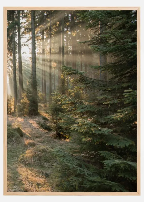 Rays part 2 Poster (21x29.7 cm (A4))