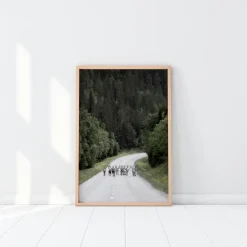 Reindeer road Poster (21x29.7 cm (A4))