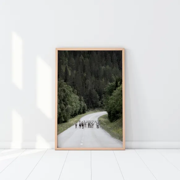 Reindeer road Poster (21x29.7 cm (A4))