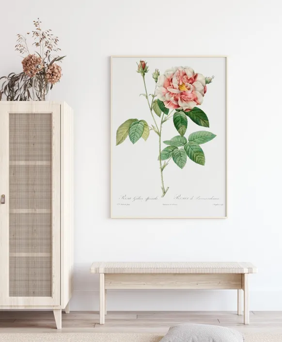 Rose Poster (21x29.7 cm (A4))