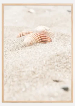 Seashell beach Poster (21x29.7 cm (A4))